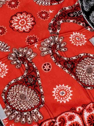 Bandana-Back-Detail-918053_720x